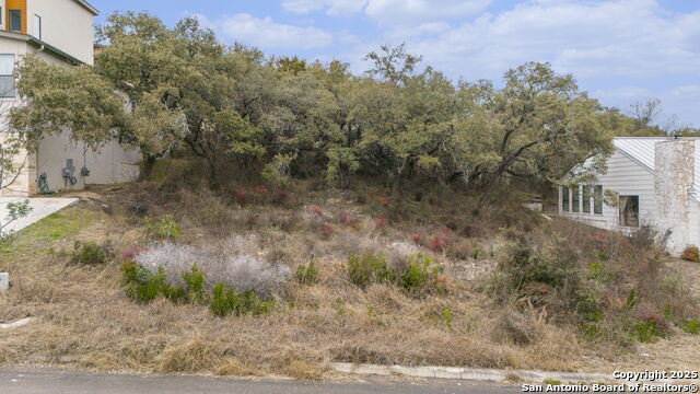 11223 Lago Vis Property Photo 5