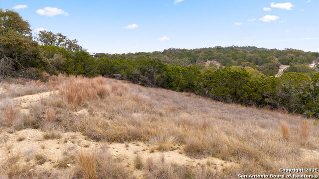 1770 Paradise Parkway Property Photo 8