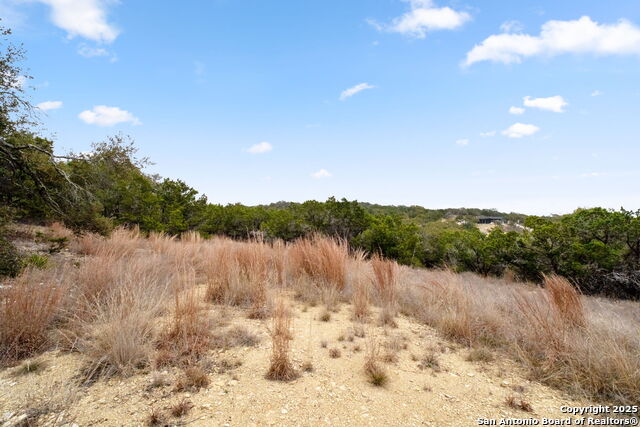 1770 Paradise Parkway Property Photo 9