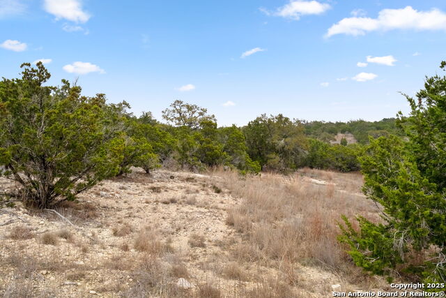 1770 Paradise Parkway Property Photo 11