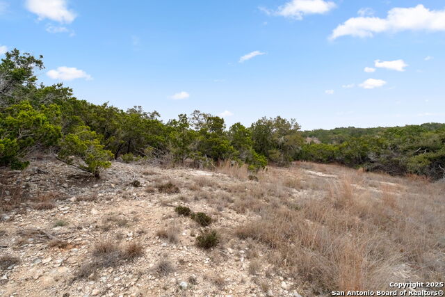 1770 Paradise Parkway Property Photo 12