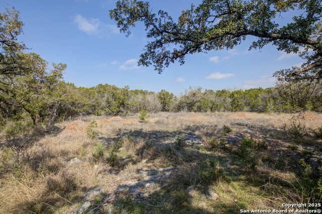 1463 Whispering Woods Trail Property Photo 7