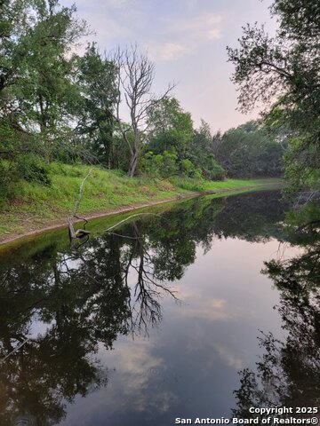 1463 Whispering Woods Trail Property Photo 11