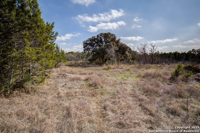 1463 Whispering Woods Trail Property Photo 13