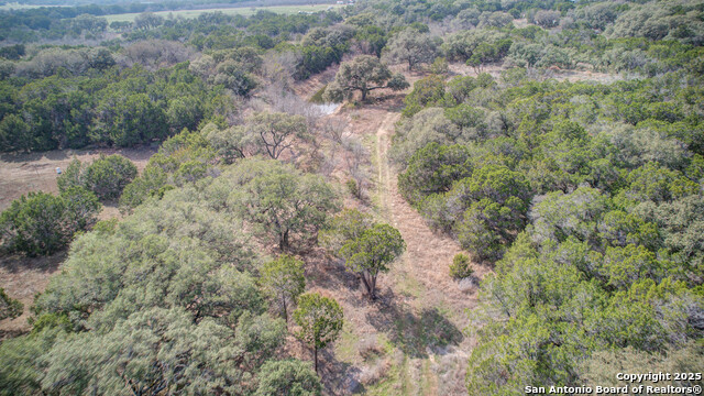 1463 Whispering Woods Trail Property Photo 27