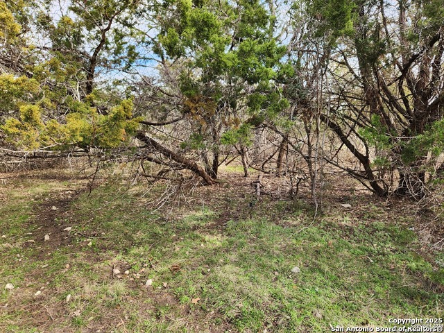 1731 Rolling River Vw Property Photo 5
