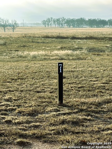 Lot 71--231 Interlaken St, Property Photo 1