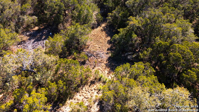 9325 Fox Briar Ln Property Photo 12