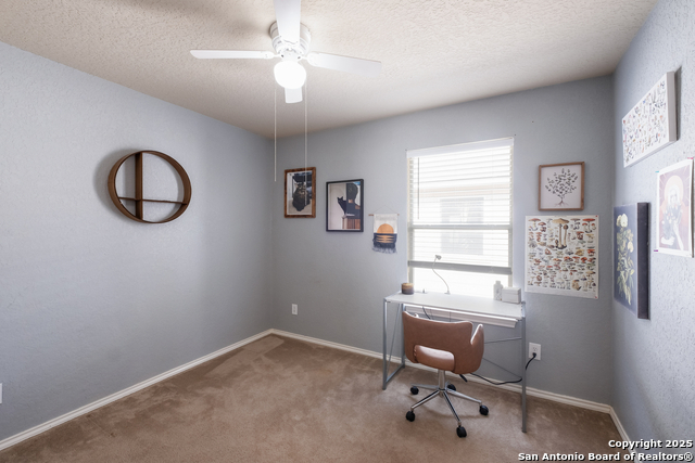 11022 Gilpin Canyon Property Photo 24