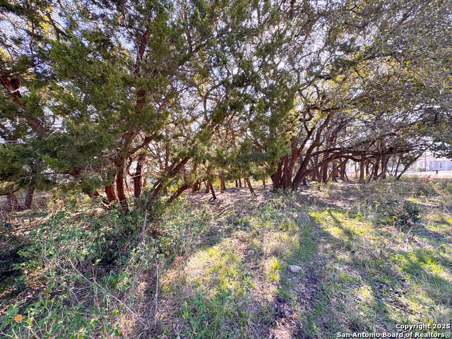 Tbd Westview Dr Property Photo 6