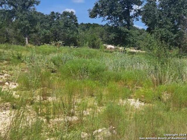 1064 Ken Wayne Property Photo 3