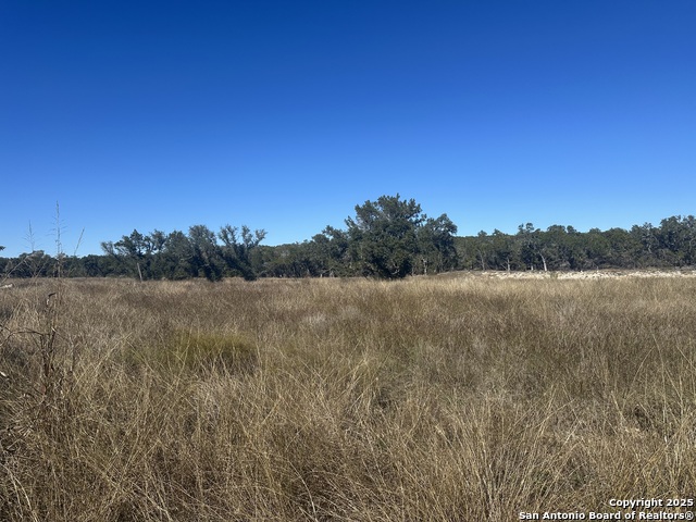 367 Serenity Pass Property Photo 5