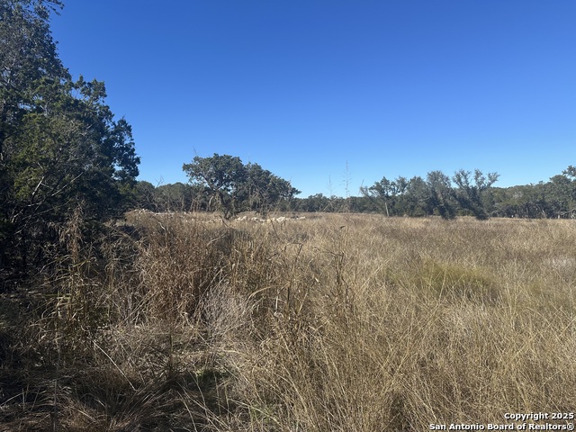 367 Serenity Pass Property Photo 6