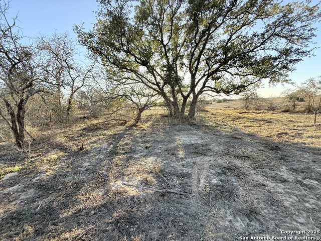 165 Sanctuary Lane (Tract 5) Property Photo 1