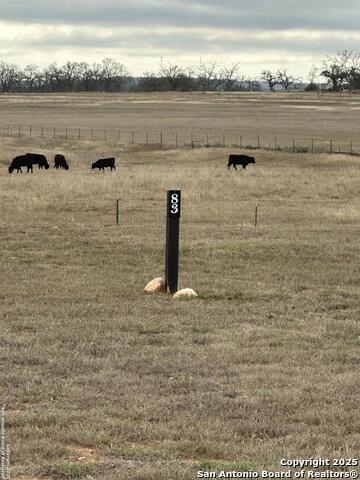 LOT 83--207 Interlaken St Property Photo 1
