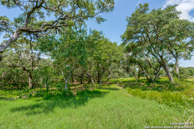 161 Chisum Trl Property Photo 1