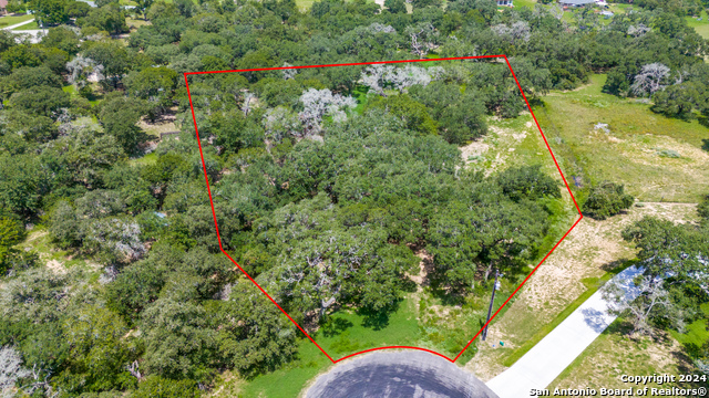 161 Chisum Trl Property Photo 2