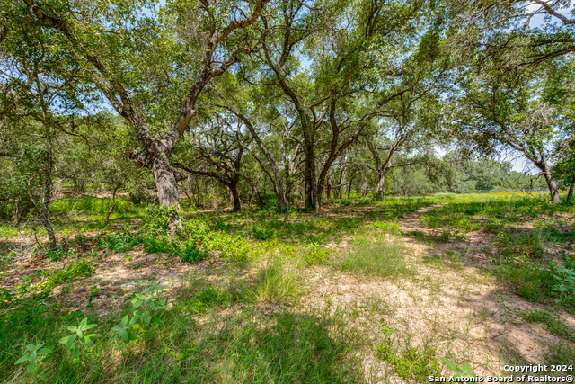 161 Chisum Trl Property Photo 3