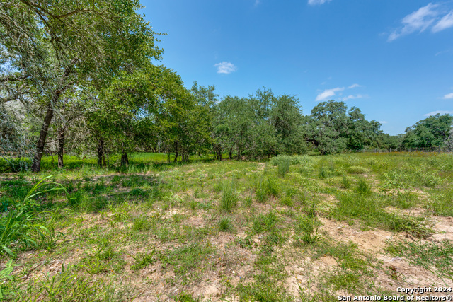 161 Chisum Trl Property Photo 6