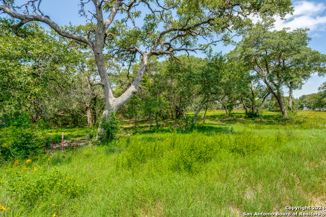 161 Chisum Trl Property Photo 8