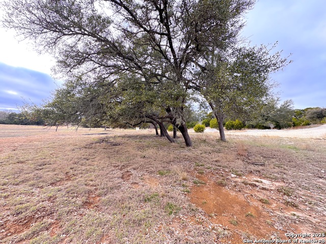 130 Double Tree Ln Property Photo 8