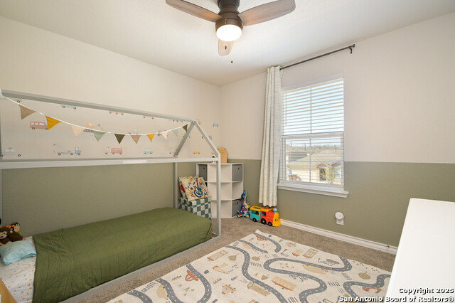 177 Firetail Property Photo 22
