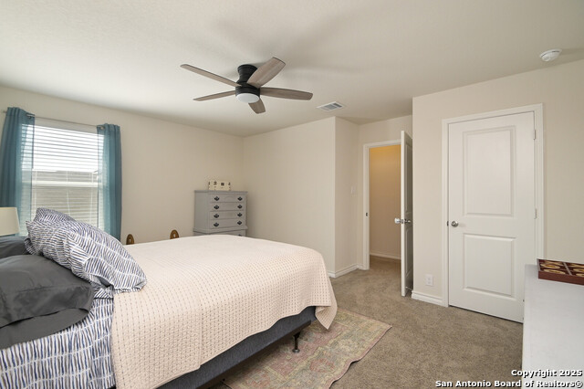 177 Firetail Property Photo 24