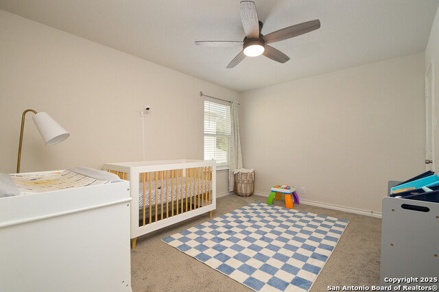 177 Firetail Property Photo 27