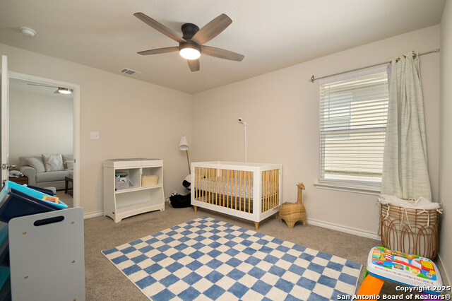 177 Firetail Property Photo 28