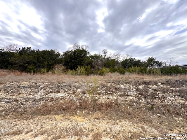 615 Caballo Trl Property Photo 22