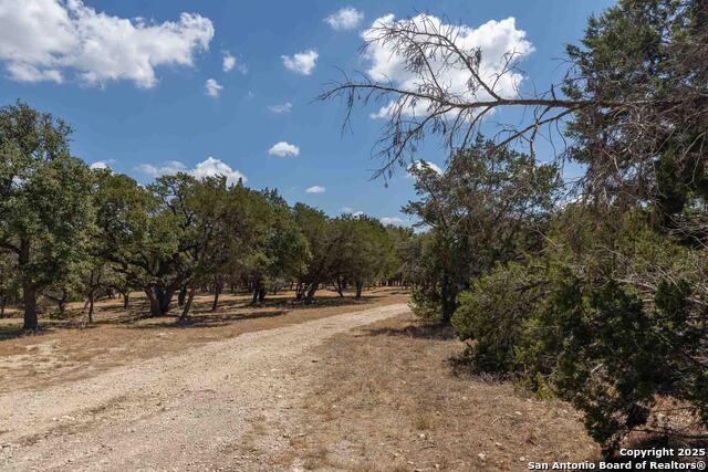 1349 Lavaca Property Photo 2