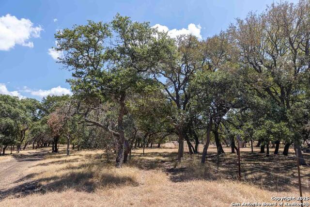 1349 Lavaca Property Photo 4