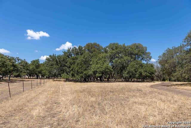 1349 Lavaca Property Photo 6