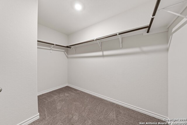 5604 Chase Falls Property Photo 23