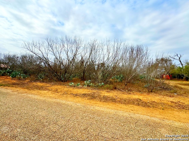 Tbd Old Hwy 81 Lot 6 Property Photo 3