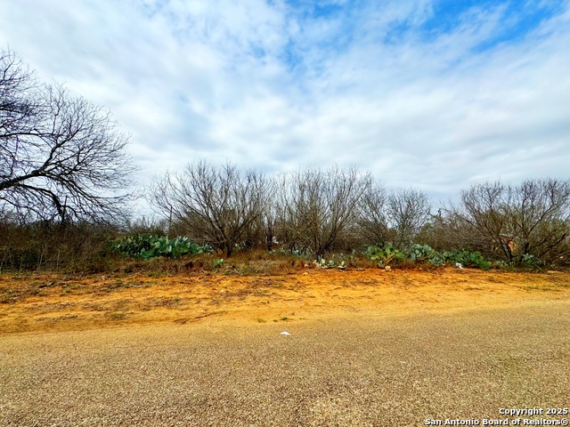 Tbd Old Hwy 81 Lot 6 Property Photo 6