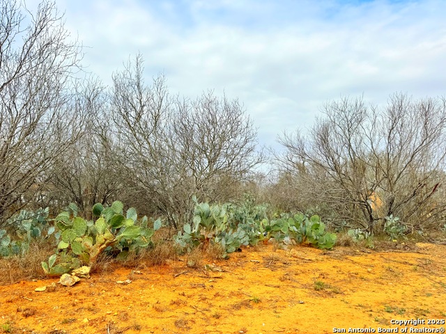 Tbd Old Hwy 81 Lots 2-6 Property Photo 2