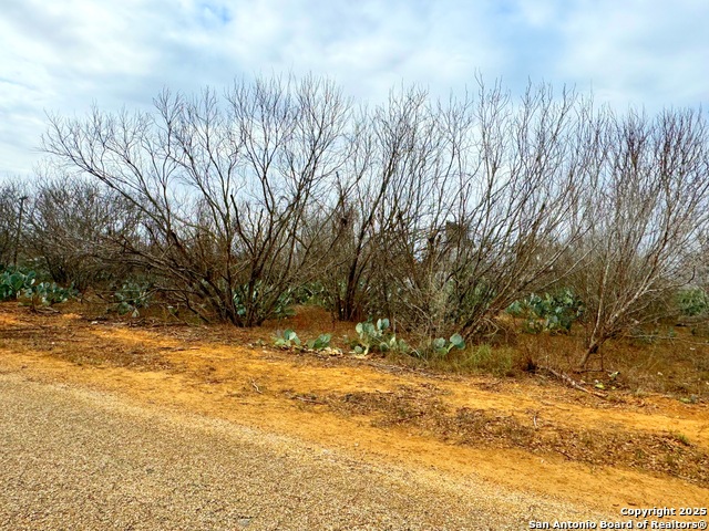 Tbd Old Hwy 81 Lots 2-6 Property Photo 4