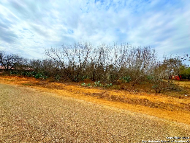 Tbd Old Hwy 81 Lots 2-6 Property Photo 5
