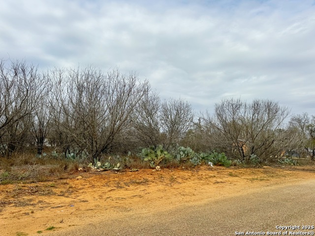 Tbd Old Hwy 81 Lots 2-6 Property Photo 7