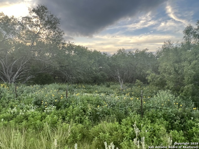 10477 Briggs Property Photo 3