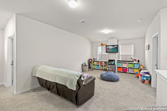 10015 Moon Shine Property Photo 17