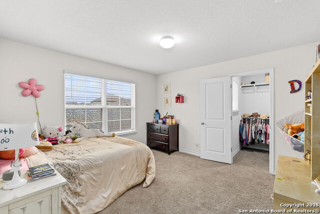 10015 Moon Shine Property Photo 21