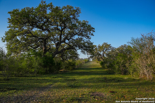 8440 State Highway 239 W Property Photo 1