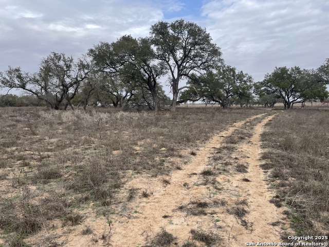 Tract 11 County Road 777 Property Photo 5