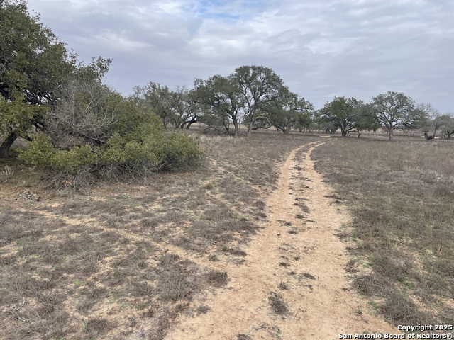 Tract 11 County Road 777 Property Photo 6