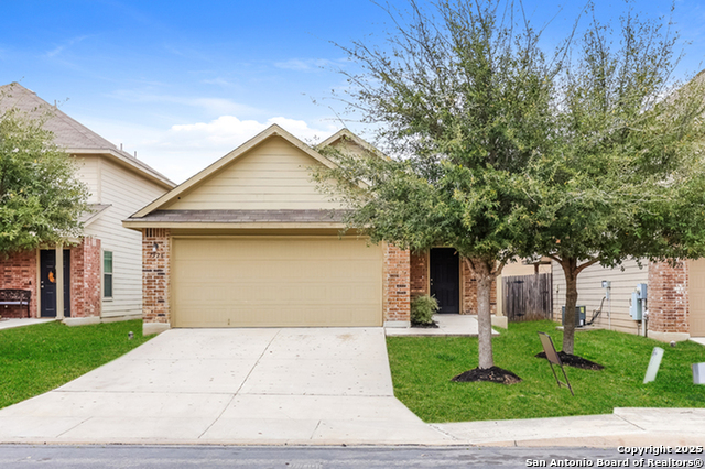 7526 Spanish Dagger Property Photo