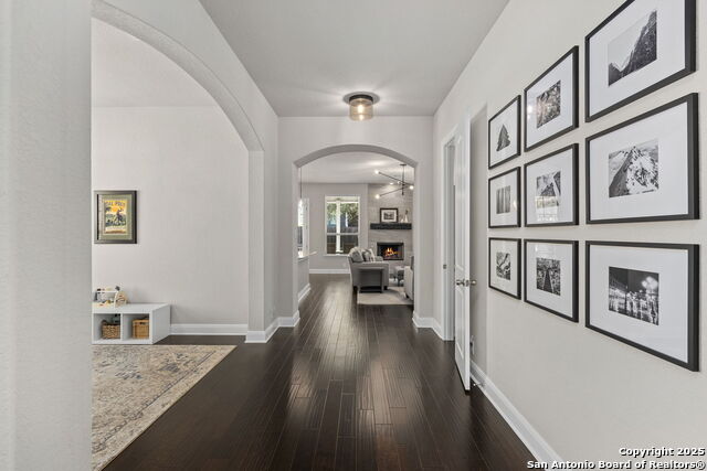 27218 Camellia Trace Property Photo 13