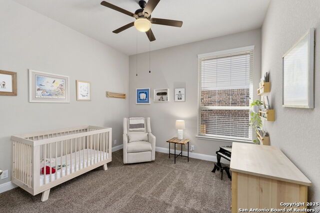 27218 Camellia Trace Property Photo 21