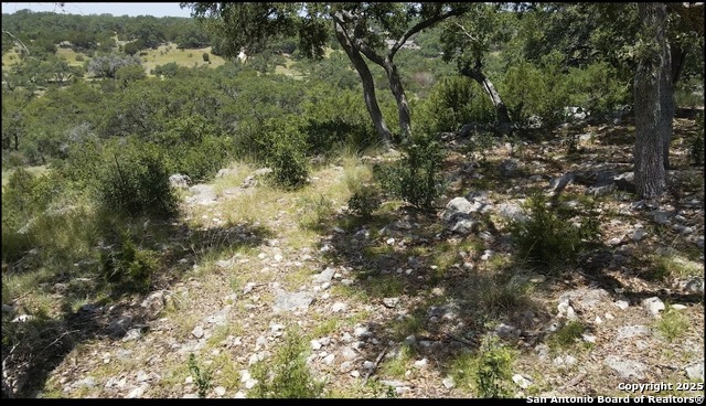 492 Havasu Pt. Property Photo 1